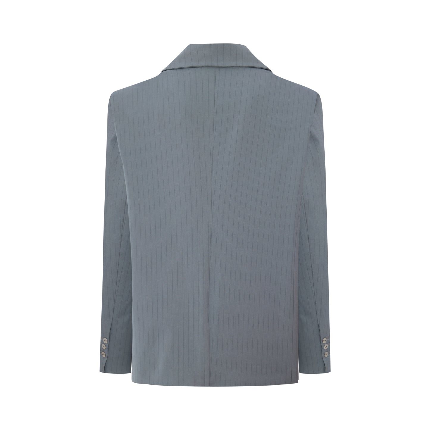 Day to Night in LA Çizgili Dokuma Blazer Ceket